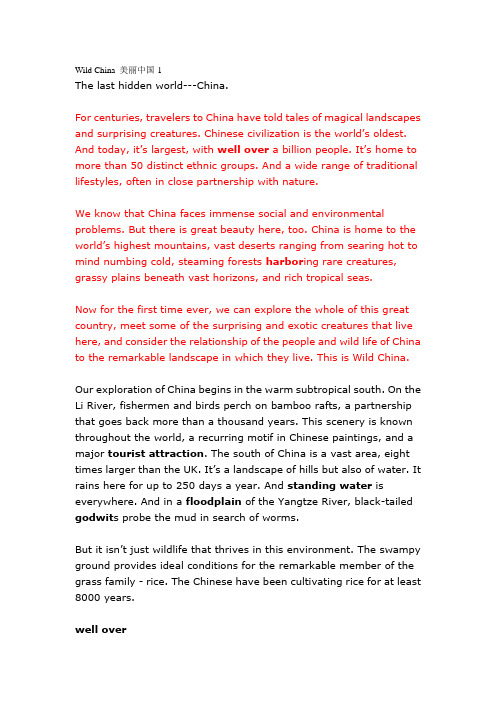美丽中国1Wild China