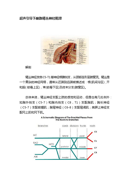 超声引导下腋路臂丛神经阻滞