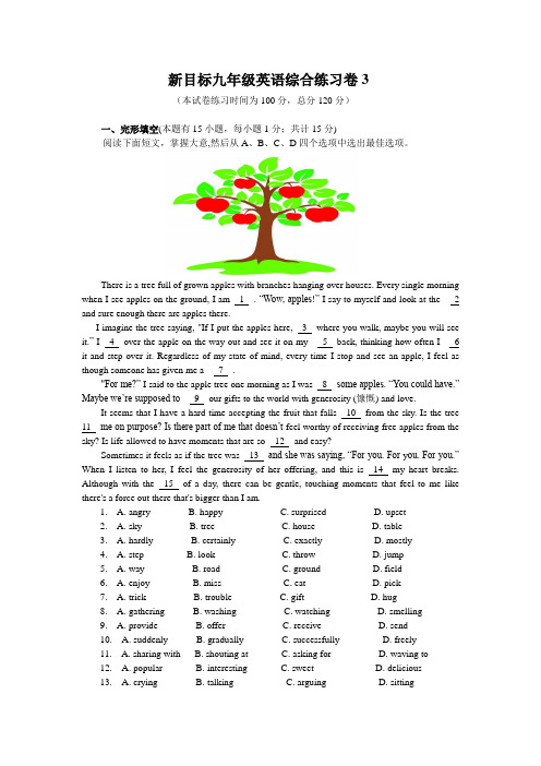 新目标九年级英语综合练习卷3