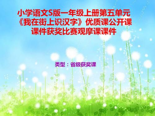 小学语文S版一年级上册第五单元《我在街上识汉字》优质课公开课课件获奖课件比赛观摩课课件B008