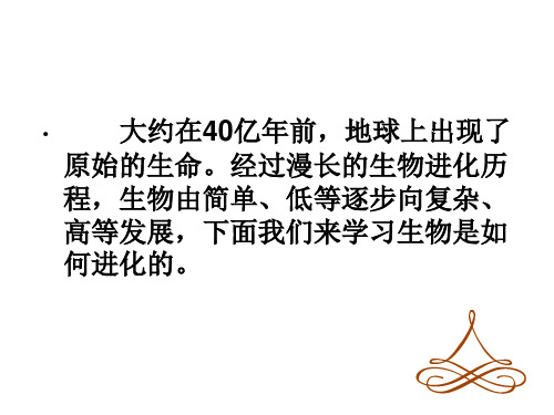 现代生物进化理论的由来(19张PPT)