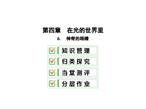 第四章6  神奇的眼睛—2020秋教科版八年级物理上册课件(共30张PPT)