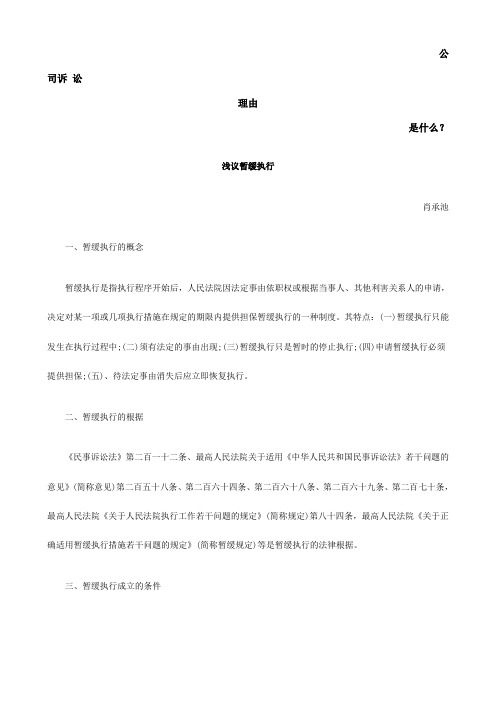 浅议暂缓执行发展与协调