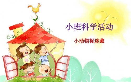 幼儿园科学《小动物捉迷藏》PPT课件