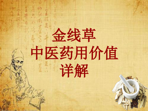 中药学_金线草_药材详解课件模板