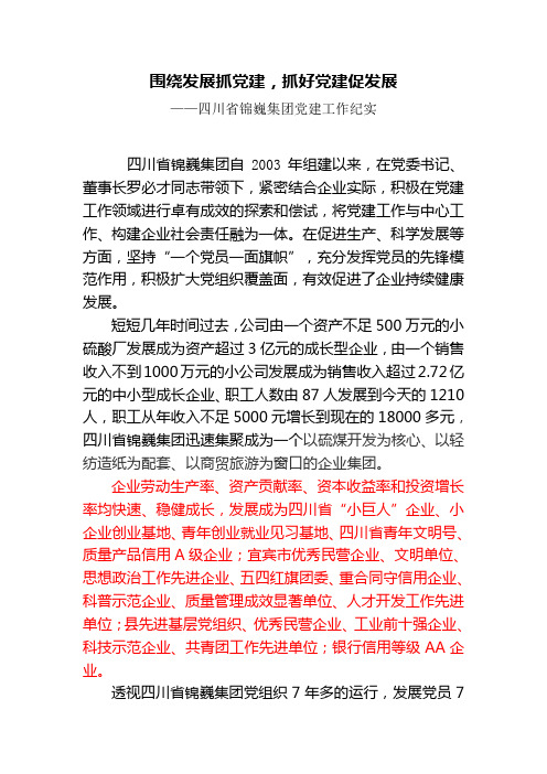 四川省锦巍集团党建工作纪实