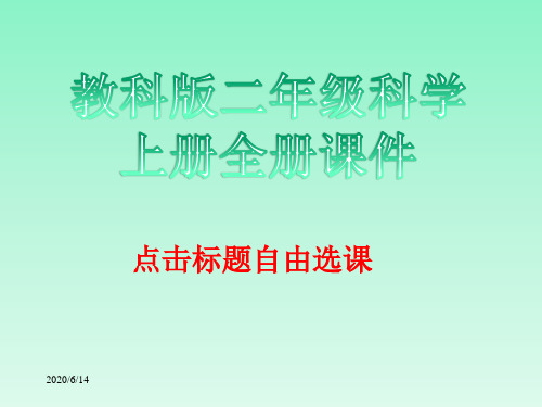 教科版二年级科学上册全册课件