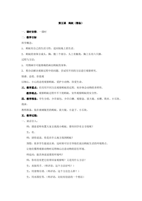 北师大版八上《蚂蚁》word教案