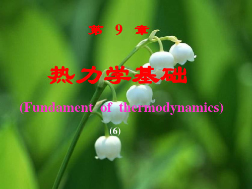 对理想气体的准静态过程