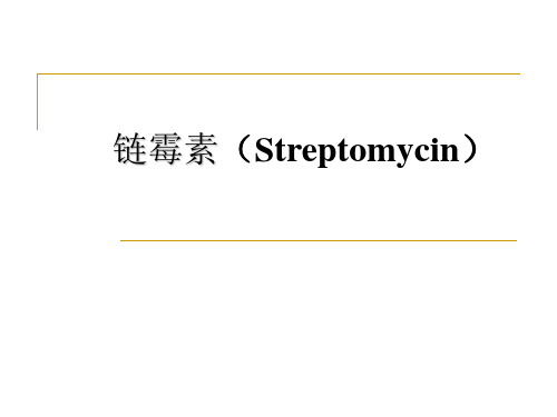 第四章 链霉素制药