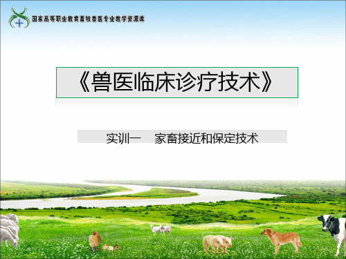 实训课件一动物接近和保定.