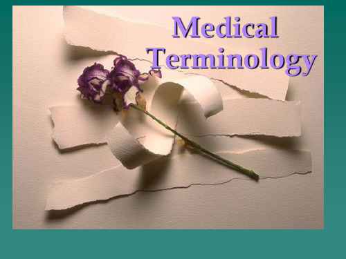 医学词汇Medical_Terminology