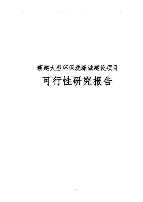 新建大型环保洗涤城建设项目可行性实施报告