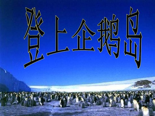 《登上企鹅岛》PPT课件