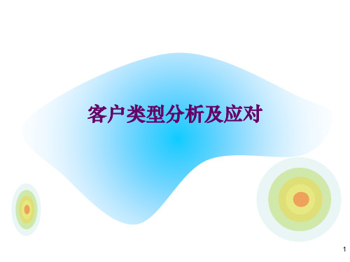 客户类型分析(PPT36页)