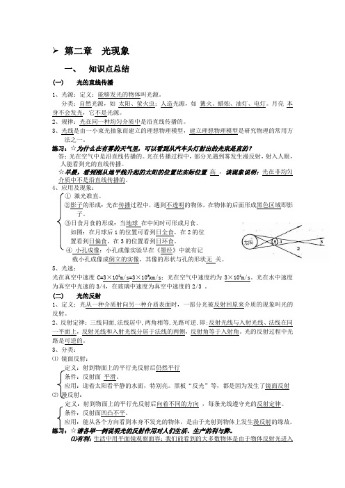 光现象中考复习