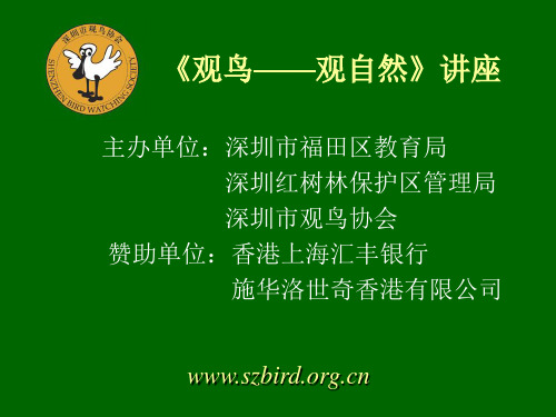 公园常见鸟类