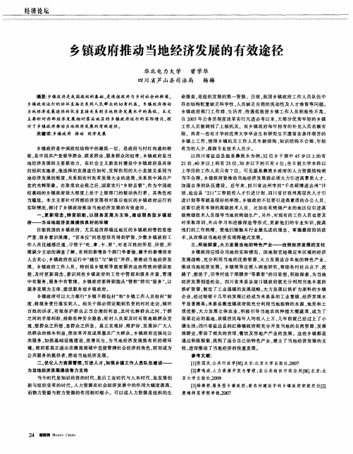 乡镇政府推动当地经济发展的有效途径