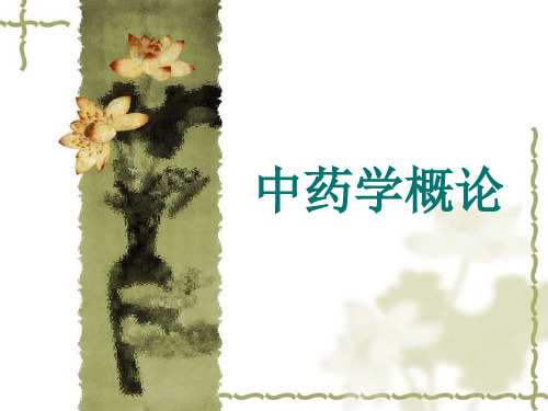 中药学概论 PPT课件