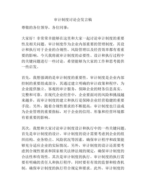 审计制度讨论会发言稿
