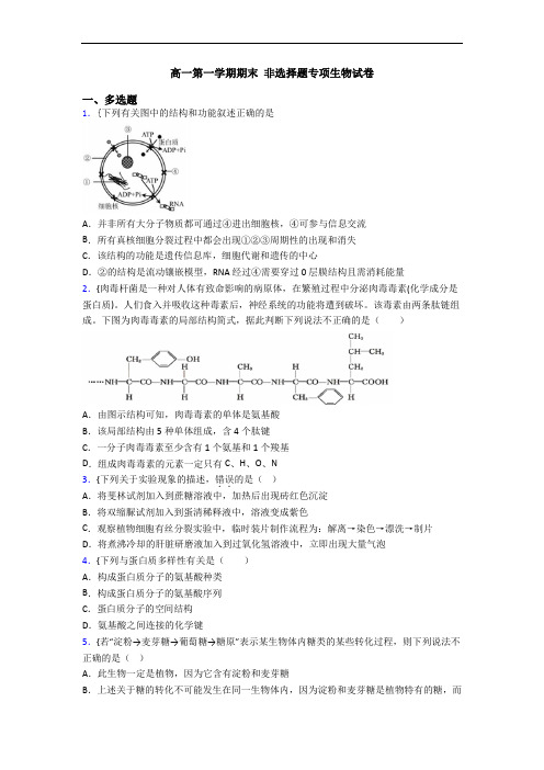 高一第一学期期末 非选择题专项生物试卷