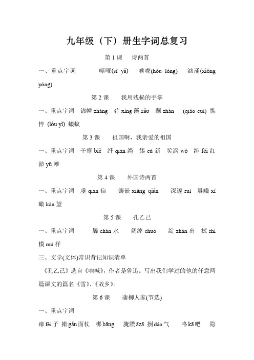 人教版九年级(下)册生字词总复习