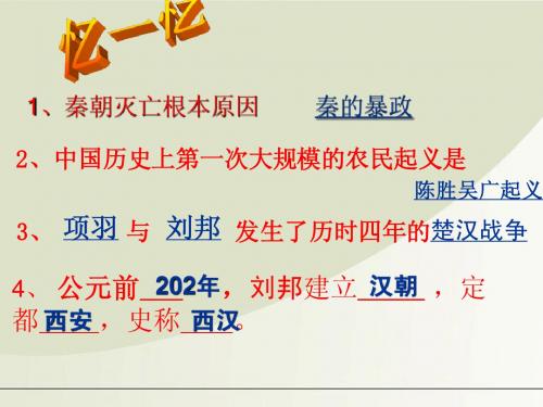 七年级历史上册 第11课统一国家的巩固课件 华东师大版