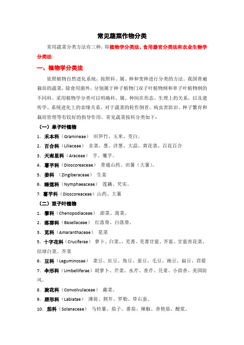 蔬菜作物分类