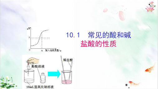 人教版《常见的酸和碱》PPT精品系列