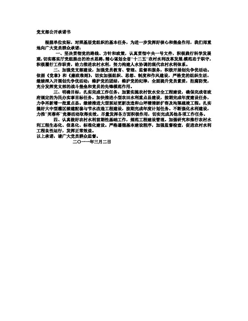 党支部公开承诺书