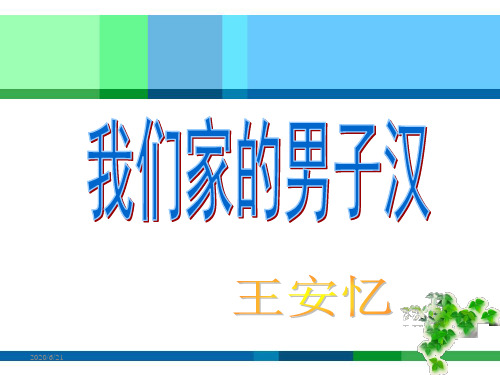 苏教版语文七年级下册《我们家的男子汉》优秀实用课件：30页 3