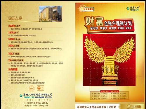 泰康人寿财富赢家通关彩页12页