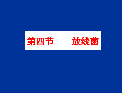 5水处理微生物学-放线菌