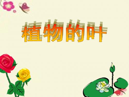 教科版科学三上1.5《植物的叶》ppt课件2