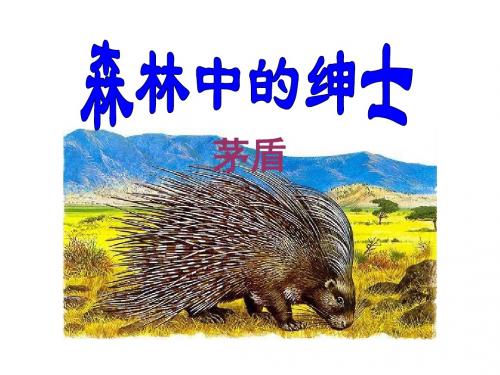 《森林中的绅士》PPT课件3