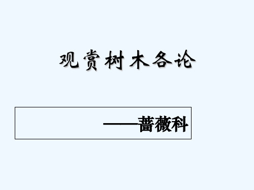 阔叶类(蔷薇科) PPT