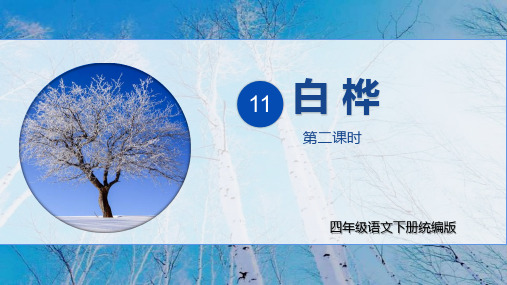 第11课《白桦》(第二课时)(课件)四年级语文下册(统编版)