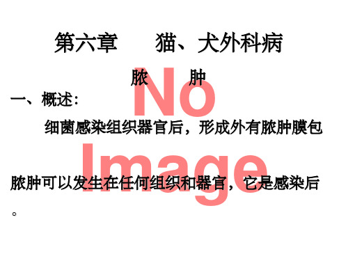 第六章猫、犬外科病