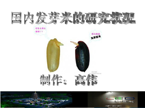 国内发芽米的研究状况