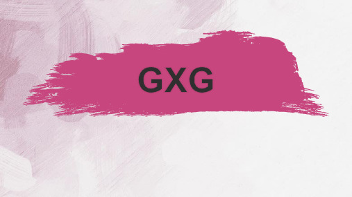 GXG品牌分析