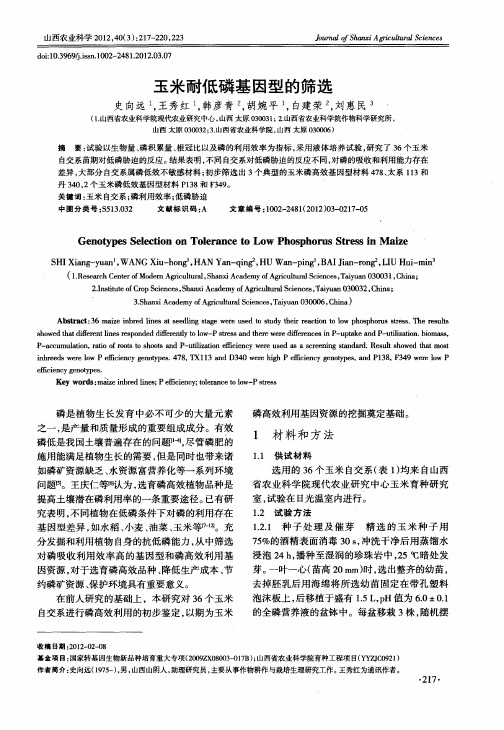 玉米耐低磷基因型的筛选