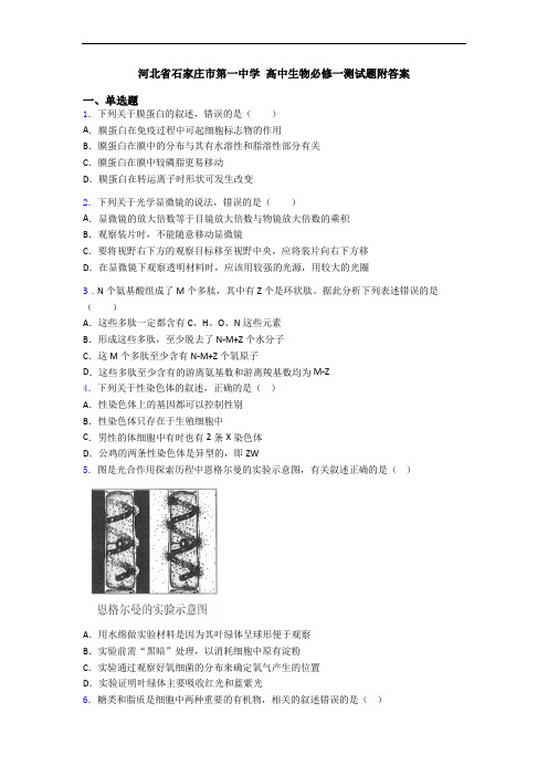 河北省石家庄市第一中学 高中生物必修一测试题附答案