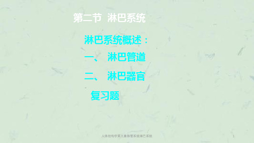 人体结构学第九章脉管系统淋巴系统课件