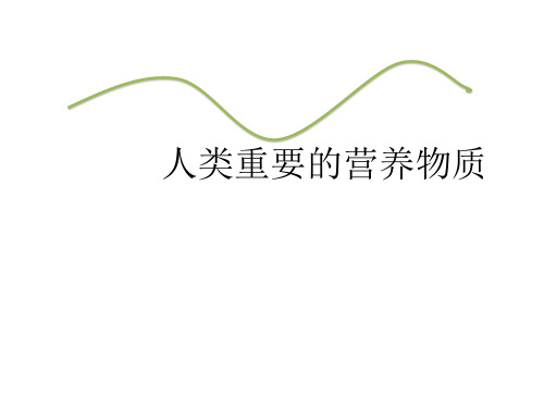 人教版化学九年级下册12.1《人类重要的营养物质》课件(共22张PPT)