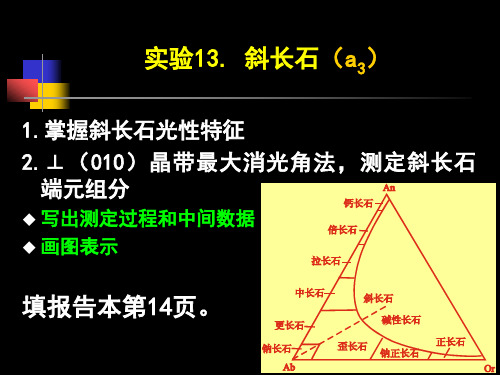 13 斜长石