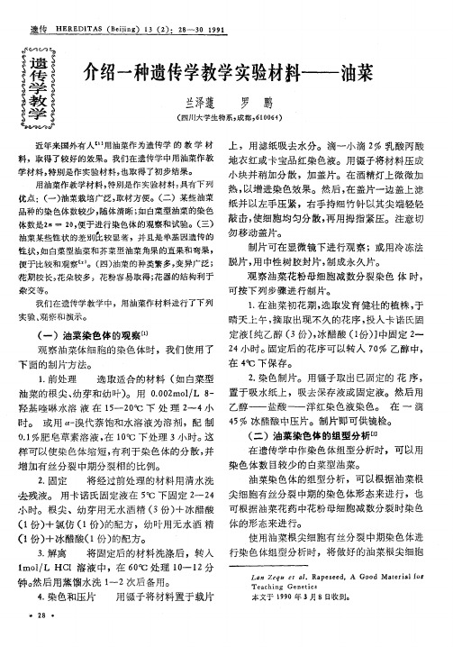 介绍一种遗传学教学实验材料--油菜
