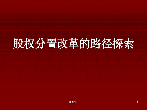 《股权分置改革》PPT课件