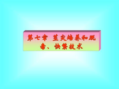 第7章  茎尖培养和脱毒、快繁技术