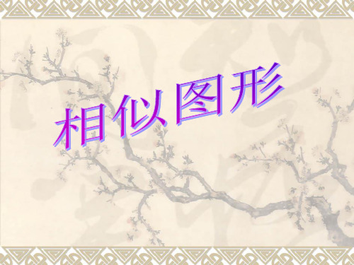 2010届中考数学复习课件 相似图形