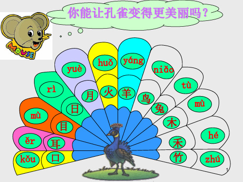 【公开课】四年级下册语文课件 3.《口耳目》(课件)_56-60